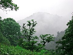 Lesy obklopující hrad Rudchán v provincii Gílán
