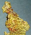 Gold specimen from Placerville