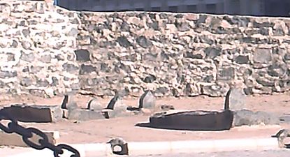 قبر الإمام حسن بن علي والإمام علي بن الحسين والإمام محمد الباقر والإمام جعفر الصادق في البقيع.