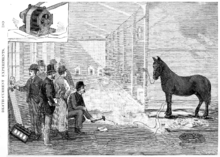 Harold Brown demonstrating the killing power of AC to the New York Medico-Legal Society by electrocuting a horse at Thomas Edison's West Orange laboratory. Harold Pitney Brown edison electrocute horse 1888 New York Medico-Legal Journal vol 6 issue 4.png