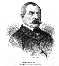 Ignác Vondráček (1880)