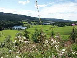 Léto v Jämtlandu