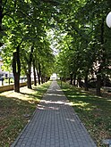 Krapina Kastanienallee.JPG