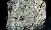 Aplite: stessa composizione mineralogica del granito, simili alla pegmatite ma a tessitura più fine