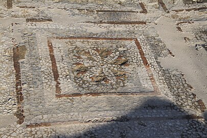 mosaico terme di Kaulon 4