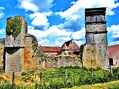 Muraille sud du château d'Oricourt.