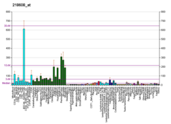 PBB GE ATP13A2 218608 at fs.png