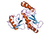 1fxt​: Struktura kompleksa konjugujućeg enzima - ubikvitin tiolestra