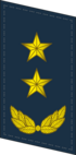 PLAAF-Collar-0719-LTG.png