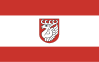Bandeira do Condado de Świdnik