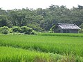 2010年9月27日 (月) 10:18時点における版のサムネイル