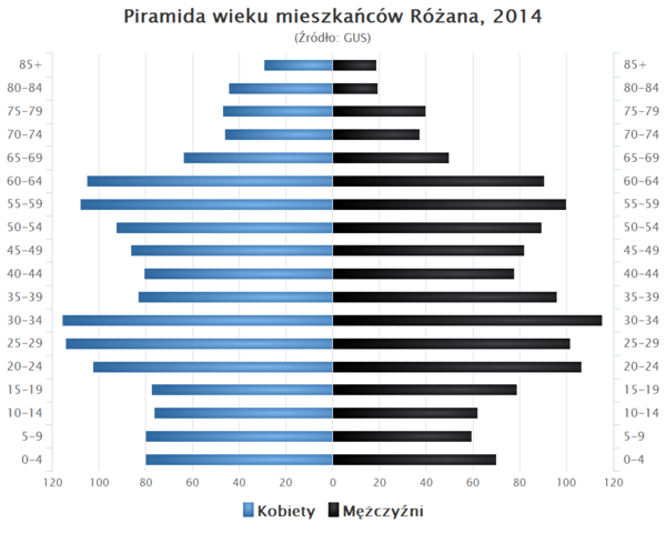 Piramida wieku Rozan.png