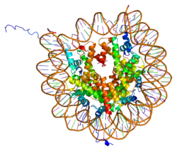 Protein HIST1H4B PDB 1aoi.png