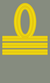 Знак различия капитана итальянской армии (1940) .png