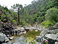 Miniatura para Río Padrón