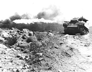 Several M4A3 Sherman tanks equipped with flamethrowers were used to clear Japanese bunkers