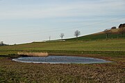 Solequelle zwischen Barnstorf und Watenstedt