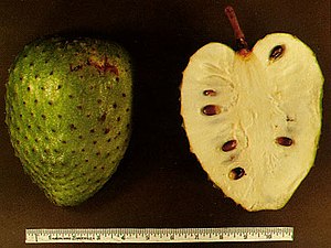 English: Picture of soursop fruit, Annona muri...
