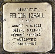 Feldon Izrael, rue Chavannes, 38 à Charleroi.