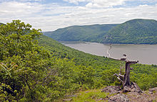 A view of a wide river from high above. In the background mountains rise up from the river; one on the right has a road cut into its side. In the foreground is a gnarled wooden tree