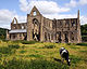 Tintern Abbey South