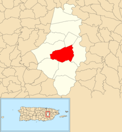 Location of Turabo within the municipality of Caguas shown in red