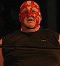 Miniatura para Big Van Vader