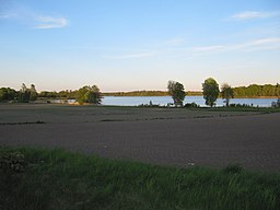 Valloxen fotograferad från Riksväg 77