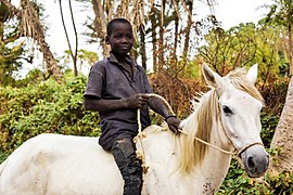 Jeune garçon montant à cheval sans selle ni bride, au Mali.