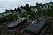 Надгробные плиты Векшина Льва Прокопьевича и Векшиной Харитины Никитичны