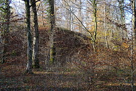 Un grand talus derrière les arbres.