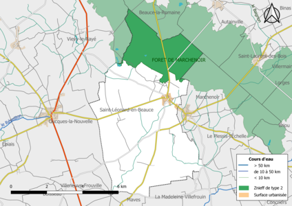 La « Forêt de Marchenoir », une ZNIEFF de type 2[Note 3] occupe la frange nord du territoire communal.