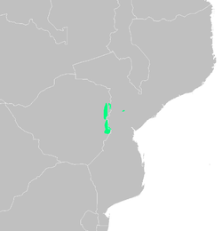 Zona donde habita el mosaico de praderas y bosques montanos