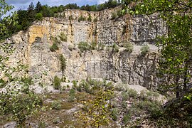 Geotop, Steinbruch bei Kottingwörth