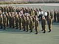 Korpus Inżynieryjny w mundurach oficerskich.