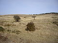 Paysage dans la zone de La Mayuela.