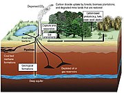 Schematic showing both terrestrial and geological sequestration of carbon dioxide emissions from a coal-fired plant.