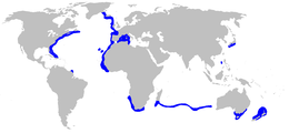 Distribuição natural de C. coelolepis