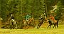 Fairy meadows polo match.jpg