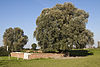 Ferme Buterne Military Cemetery