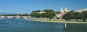 Die Rhône in Avignon.