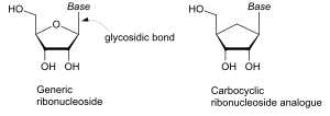 Vignette pour Nucléoside carbocyclique