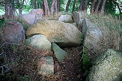 Das Großsteingrab Ranzow – Blick von Westen