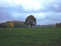 9/2011: Herbst in Vidzeme