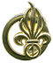 Insigne de béret du 1er REG.jpg