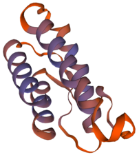 Interleukin-2 protein