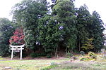 Kabutoyama Kofun