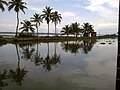 Kerala house boat.jpg