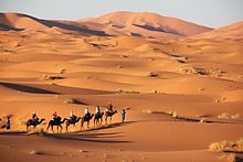 Landscape of the Erg Chebbi Merzouga sahara.jpg