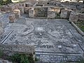 Mosaico del frigidario delle terme dei Cisiarii